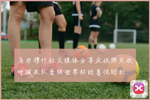 马尔穆什社交媒体分享庆祝照片欢呼埃及队晋级世界杯的喜悦时刻