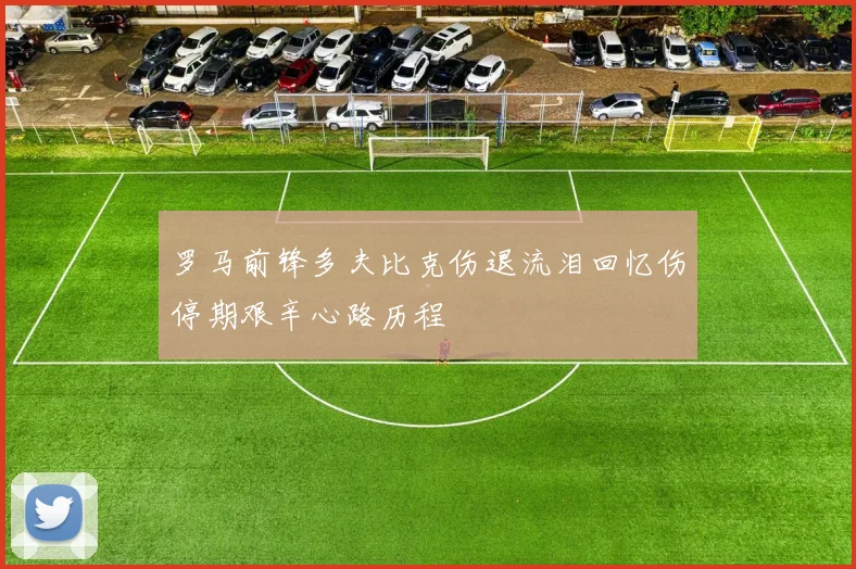 罗马前锋多夫比克伤退流泪回忆伤停期艰辛心路历程
