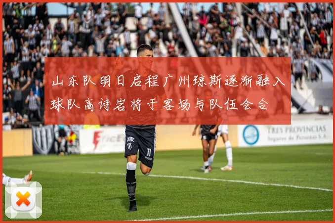 山东队明日启程广州琼斯逐渐融入球队高诗岩将于客场与队伍会合