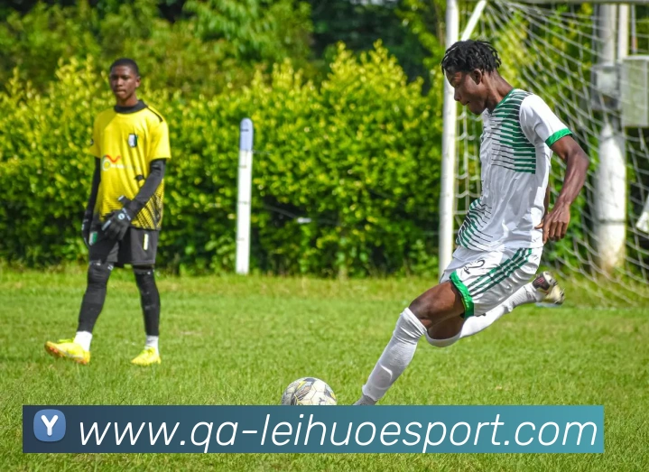 雷火电竞平台生态图